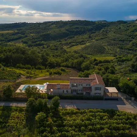 Oliva * Krasica (Istria)
