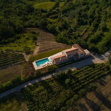 Oliva * Krasica (Istria)