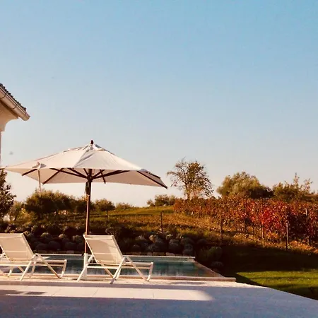 Villa Oliva Krasica (Istria)