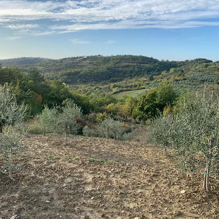 Villa Oliva Krasica (Istria)