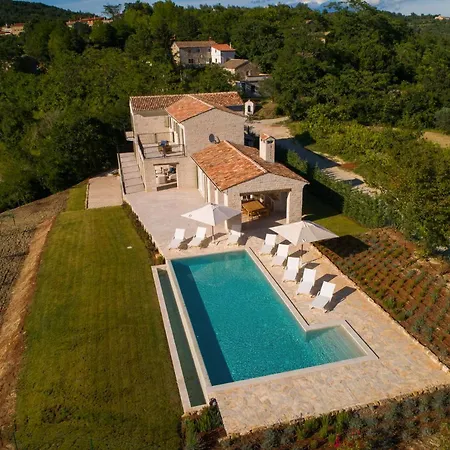 Oliva
