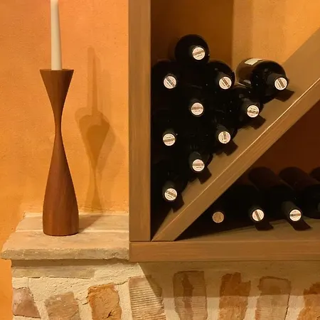 فيلة Oliva *